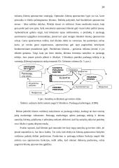UAB „Kesko Senukai Lithuania“ klientų aptarnavimo kokybės tyrimas 13 puslapis