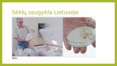 Sėklų saugyklos Lietuvoje ir pasaulyje 7 puslapis