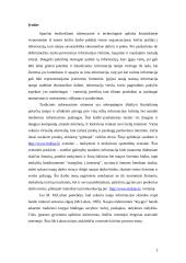 Interneto svetainės analizė 2 puslapis