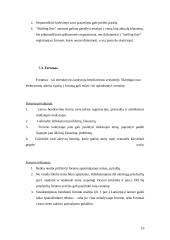 Interneto svetainės analizė 16 puslapis