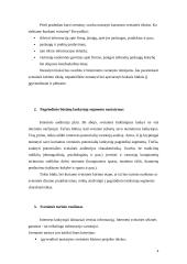 Interneto svetainės analizė 4 puslapis