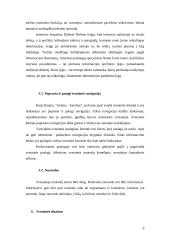 Interneto svetainės analizė 6 puslapis
