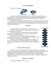 Investavimas 2 puslapis