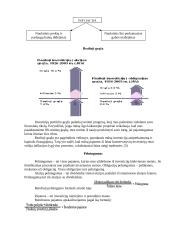 Investavimas 3 puslapis