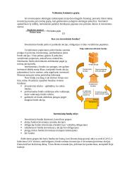 Investavimas 4 puslapis