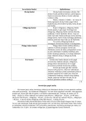 Investavimas 5 puslapis