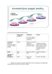 Investavimas 6 puslapis