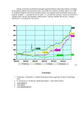 Investavimas 8 puslapis
