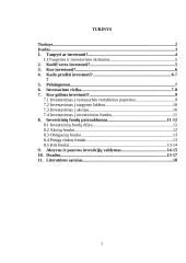 Investavimas, kas tai, kokie jo būdai 2 puslapis