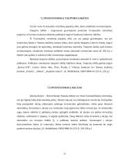 Investavimas, kas tai, kokie jo būdai 11 puslapis