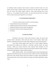 Investavimas, kas tai, kokie jo būdai 13 puslapis