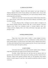 Investavimas, kas tai, kokie jo būdai 14 puslapis