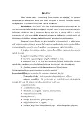 Investavimas, kas tai, kokie jo būdai 3 puslapis