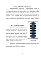 Investavimas, kas tai, kokie jo būdai 6 puslapis