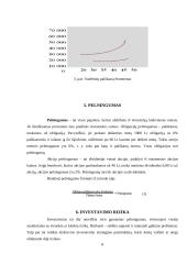 Investavimas, kas tai, kokie jo būdai 8 puslapis