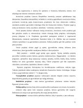 Finansinės investicijos ir investicijų procesas 13 puslapis