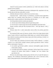 Finansinės investicijos ir investicijų procesas 18 puslapis