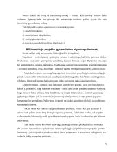 Finansinės investicijos ir investicijų procesas 19 puslapis