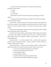 Finansinės investicijos ir investicijų procesas 20 puslapis