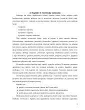 Finansinės investicijos ir investicijų procesas 3 puslapis