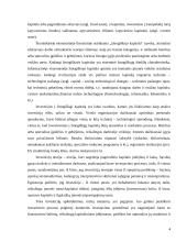 Finansinės investicijos ir investicijų procesas 4 puslapis