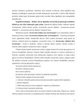 Finansinės investicijos ir investicijų procesas 5 puslapis