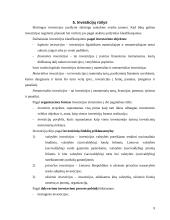 Finansinės investicijos ir investicijų procesas 9 puslapis