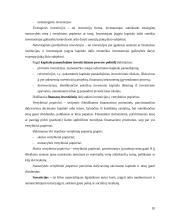 Finansinės investicijos ir investicijų procesas 10 puslapis