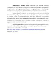 Investicijos į nekilnojamąjį turtą 8 puslapis