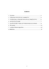 Užsienio investicijų analizė 2 puslapis