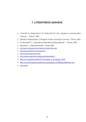 Užsienio investicijų analizė 14 puslapis