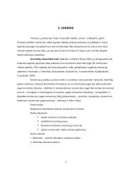 Užsienio investicijų analizė 3 puslapis