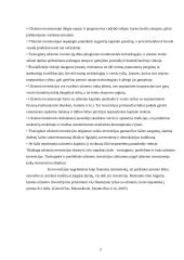 Užsienio investicijų analizė 5 puslapis