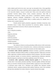 Užsienio investicijų analizė 10 puslapis