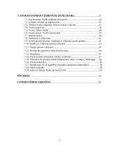 Investicinės teisės reglamentavimo pagrindiniai aspektai 2 puslapis