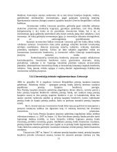 Investicinės teisės reglamentavimo pagrindiniai aspektai 13 puslapis