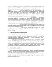 Investicinės teisės reglamentavimo pagrindiniai aspektai 19 puslapis