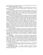 Investicinės teisės reglamentavimo pagrindiniai aspektai 5 puslapis