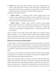 Investicinio fondo ir individualaus vertybinių popierių portfelio kaip investavimo alternatyvų palyginimas 11 puslapis