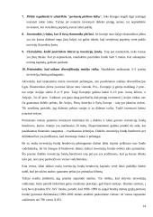 Investicinio fondo ir individualaus vertybinių popierių portfelio kaip investavimo alternatyvų palyginimas 13 puslapis