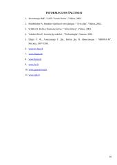 Investicinio fondo ir individualaus vertybinių popierių portfelio kaip investavimo alternatyvų palyginimas 17 puslapis