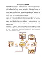 Investicinio fondo ir individualaus vertybinių popierių portfelio kaip investavimo alternatyvų palyginimas 8 puslapis