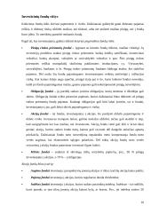 Investicinio fondo ir individualaus vertybinių popierių portfelio kaip investavimo alternatyvų palyginimas 9 puslapis