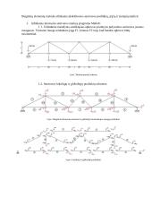 Santvaros analizė baigtinių elementų metodu (namų darbas)
