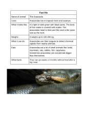 My favorite animal 2 puslapis