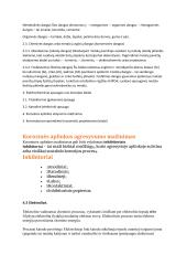 Chemijos egzamino pasiruošimas 11 puslapis