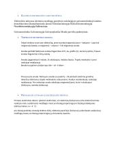 Chemijos egzamino pasiruošimas 12 puslapis