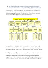 Chemijos egzamino pasiruošimas 10 puslapis