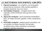 Asocialaus elgesio klinikiniai aspektai 12 puslapis