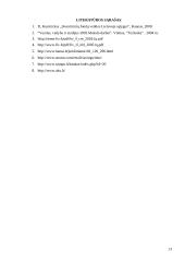 Investicinių fondų ir terminuotų bankinių indelių kaip investavimo alternatyvų palyginimas 13 puslapis